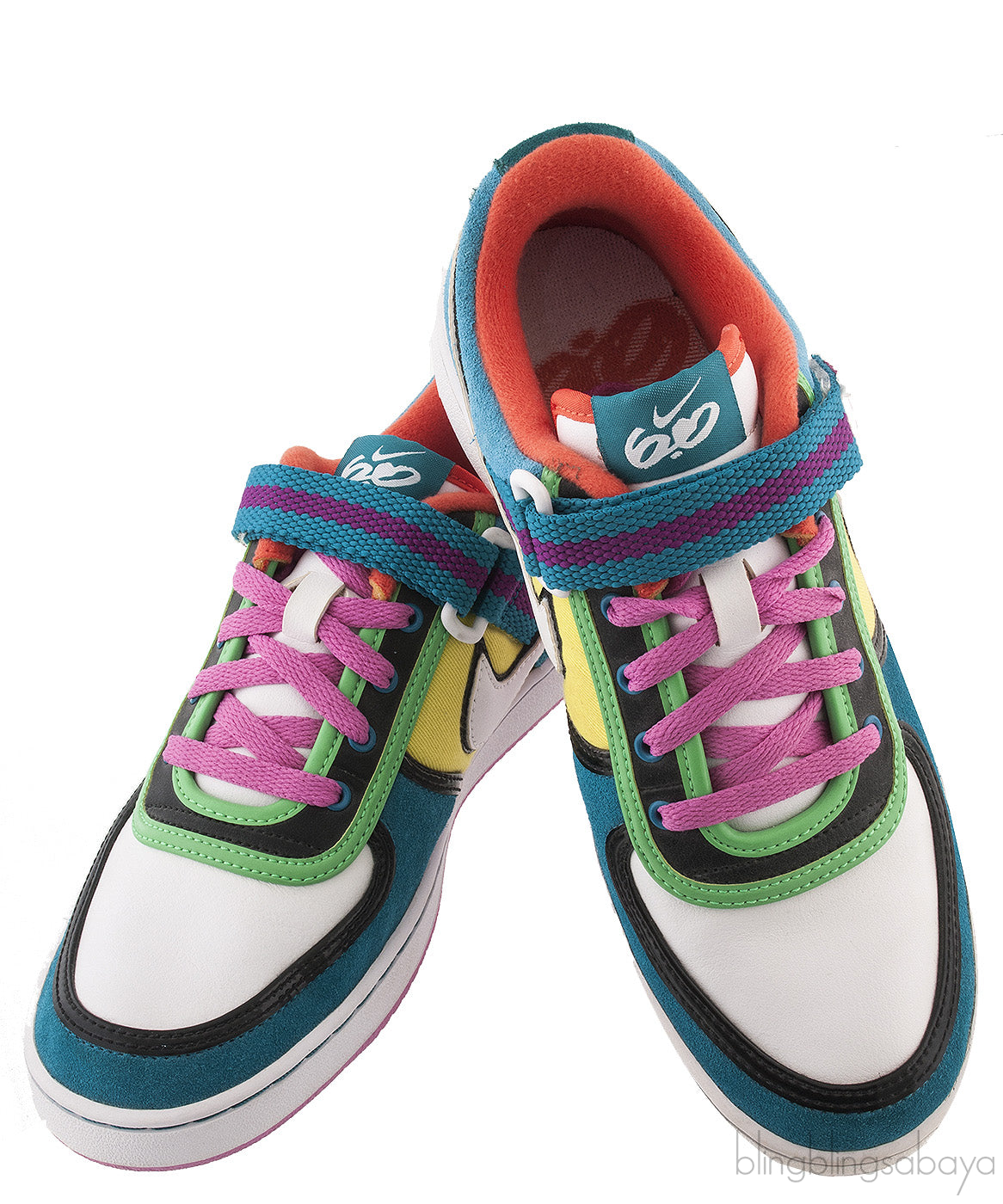 Multicolor 6.0 Dunk Low