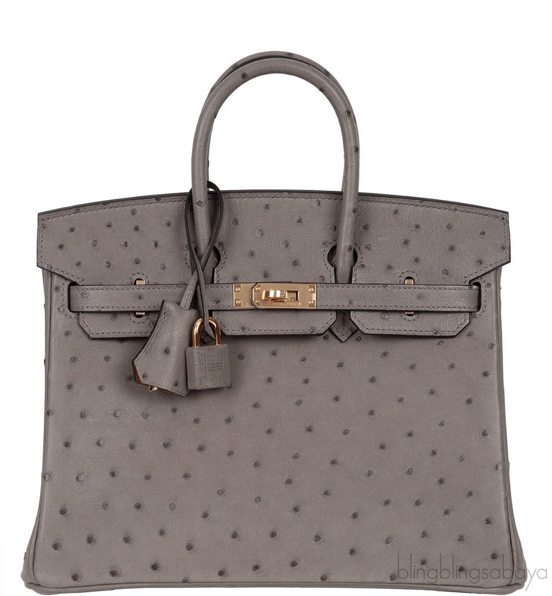 Hermes Special Order Birkin 25 Gris Tourterelle Ostrich and Toffee GHW