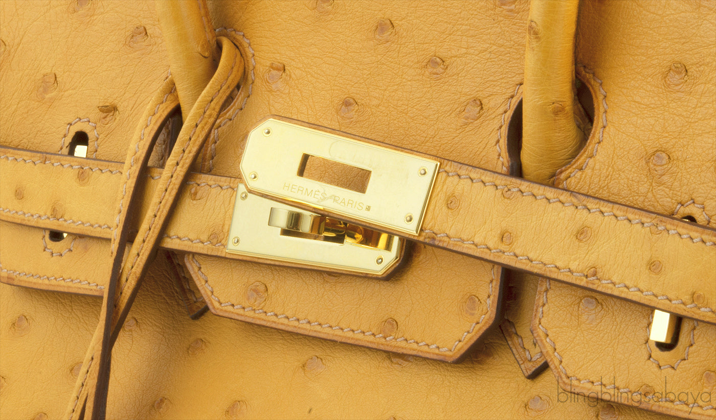 Birkin 30 Camel Ostrich GHW