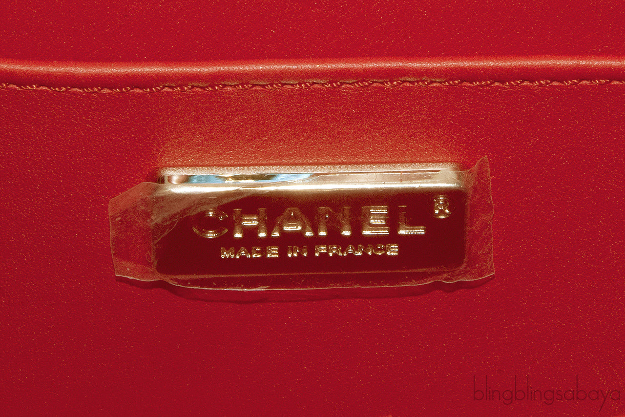 Classic Coral Python Mini Flap Bag