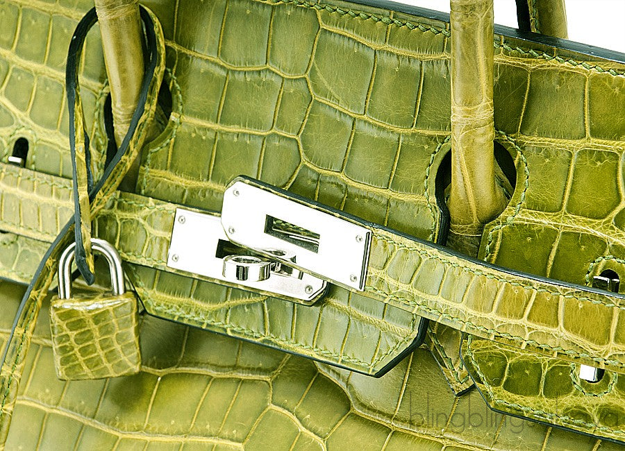 Birkin 30 Vert Pelouse Porosus