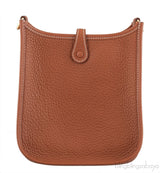 Mini Evelyne Gold Crossbody Bag