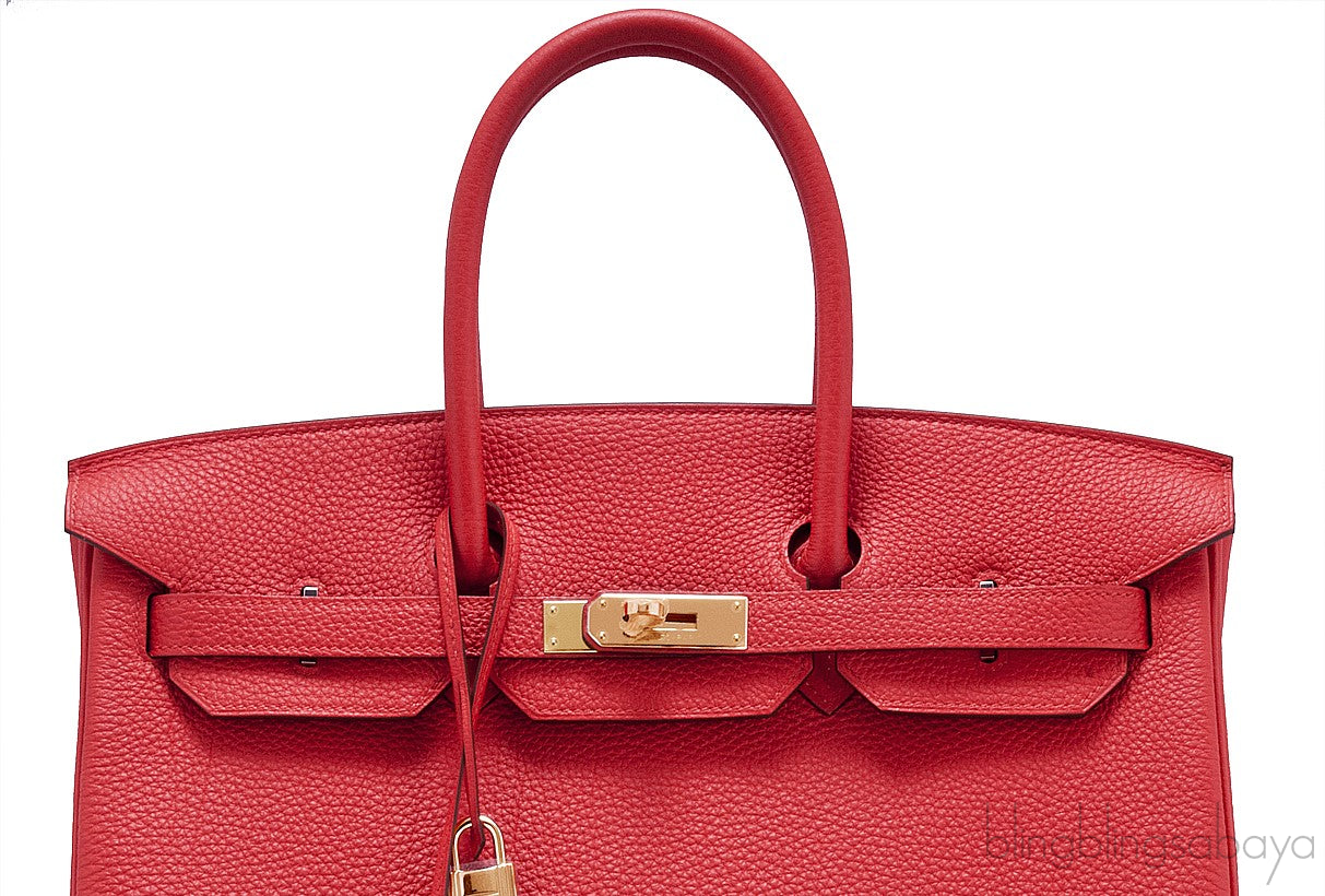 Birkin 35 Capucine Togo GHW