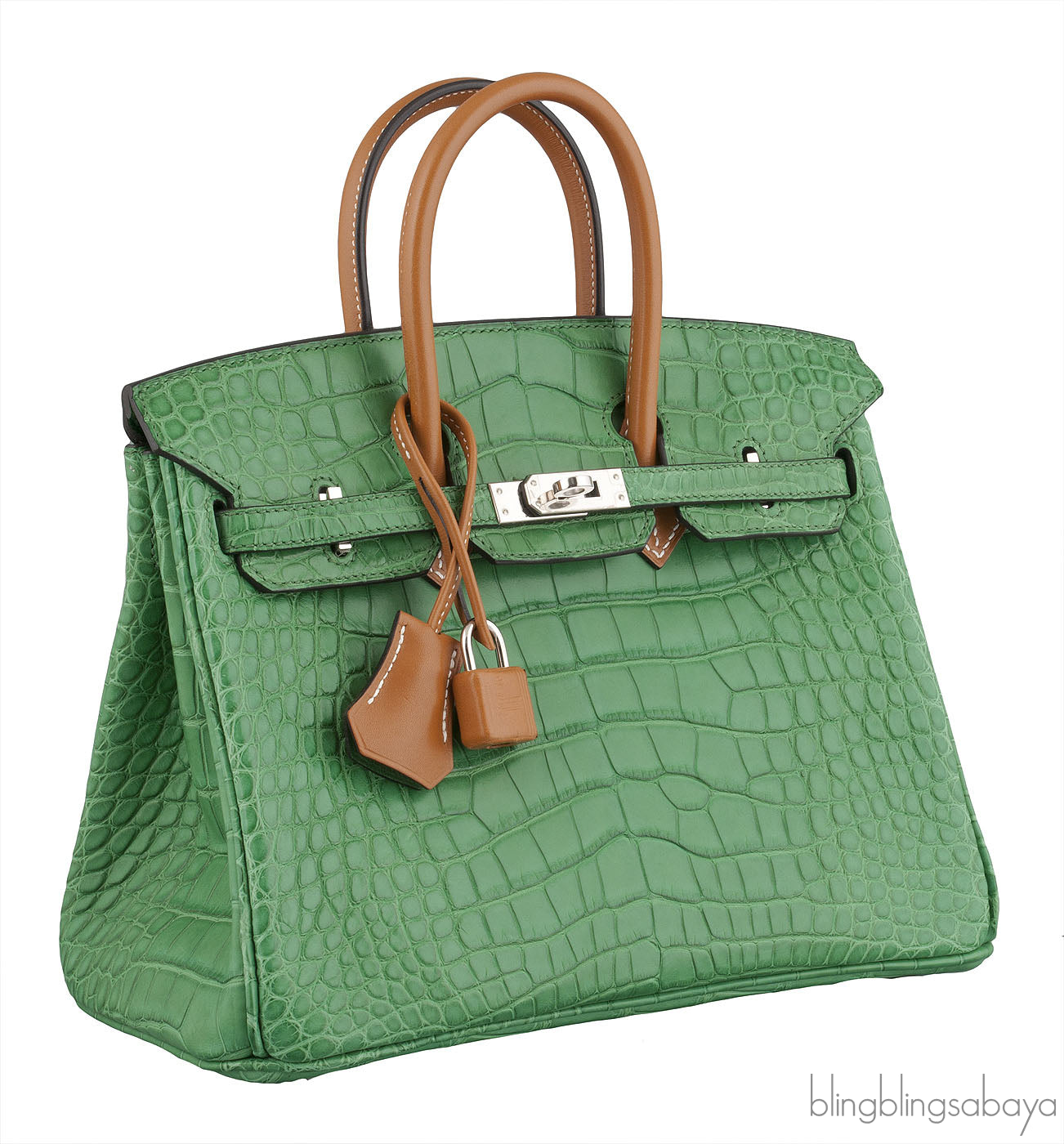 Birkin 25 Cactus Crocodile Natural Sable