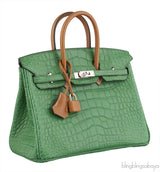 Birkin 25 Cactus Crocodile Natural Sable