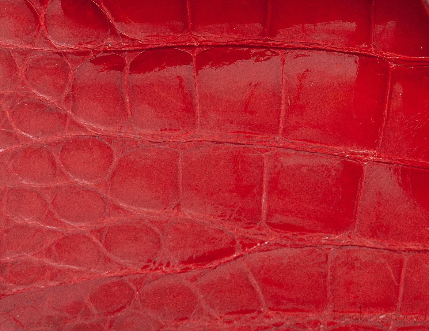Vintage Red Crocodile CC Classic Mini Square Bag
