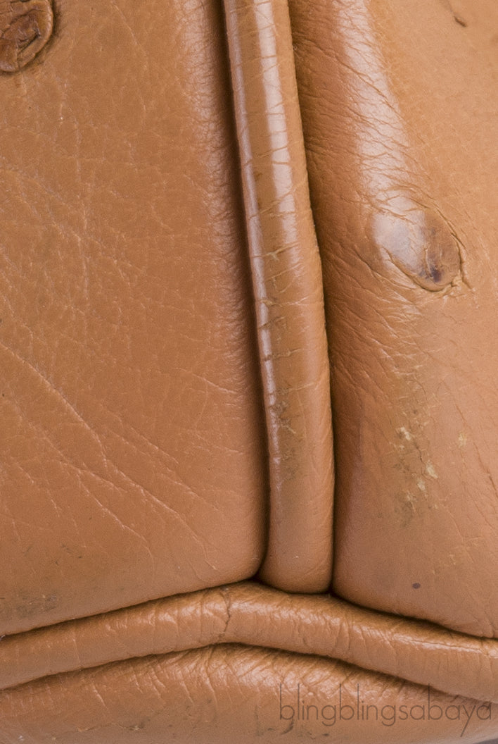 Birkin 30 Ostrich Cognac GHW