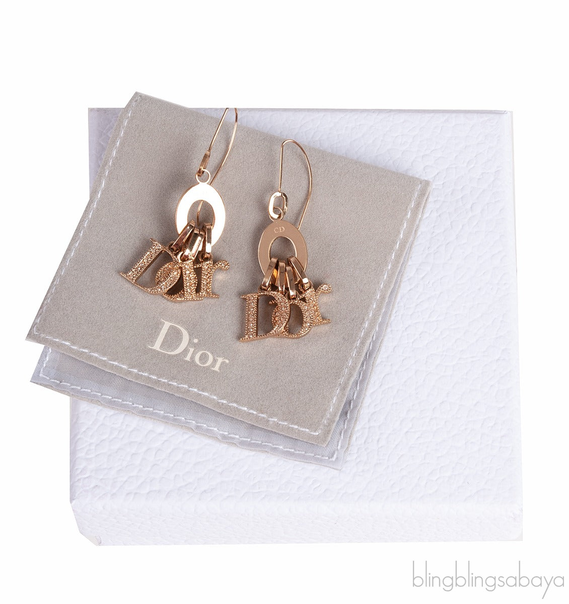 Dior Logo Hook Earrings
