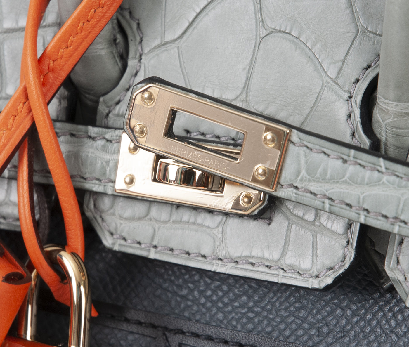 Birkin 20 Sellier Faubourg Rainy Days Crocodile Bag