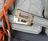 Birkin 20 Sellier Faubourg Rainy Days Crocodile Bag