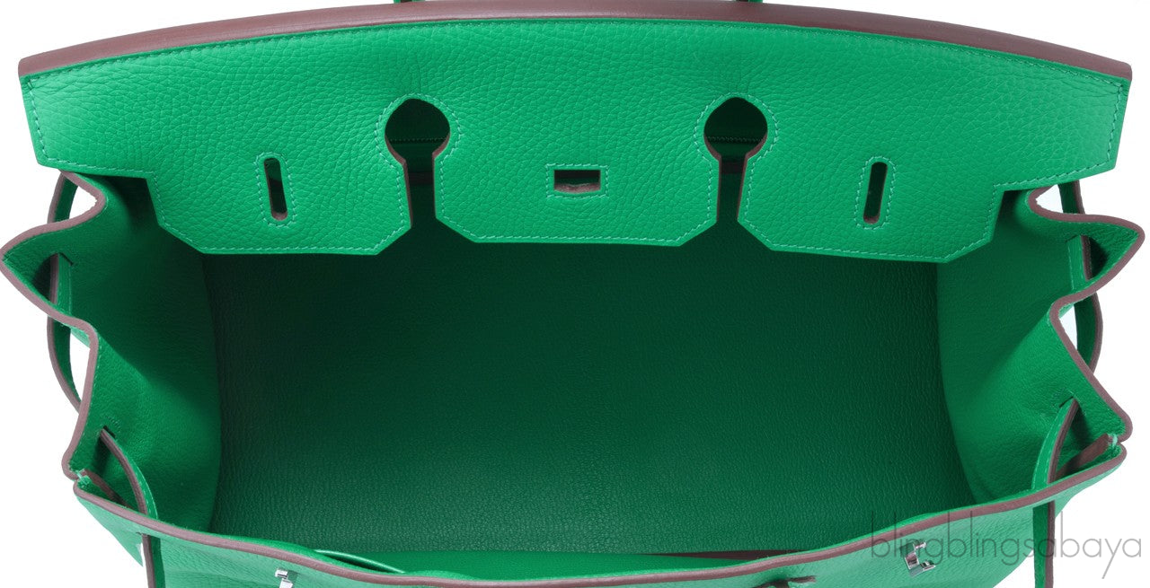 Birkin 35 Menthe Green Togo