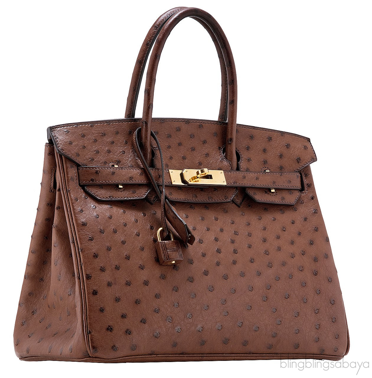 Birkin 30 Etrusque Chocolate Ostrich