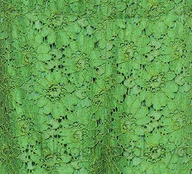 Green Floral Lace Trouser