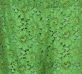 Green Floral Lace Trouser
