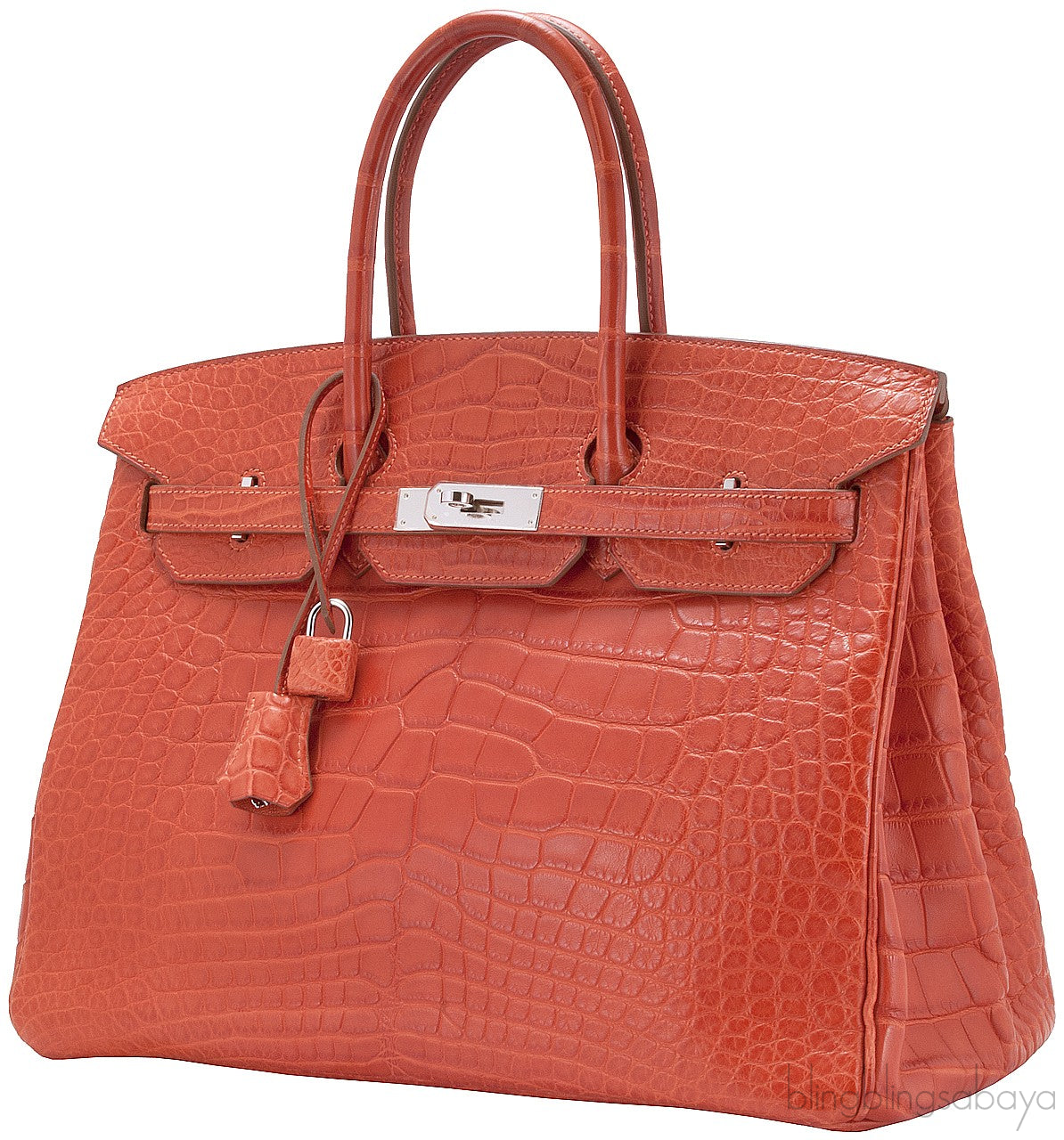 Birkin 35 Geranium Matte Crocodile
