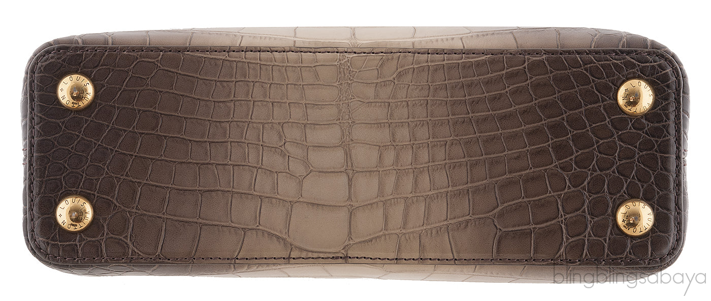 Capucine Gradient Crocodile B