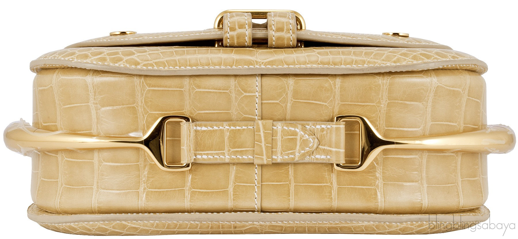 Pass Guide Crocodile Poussiere GHW