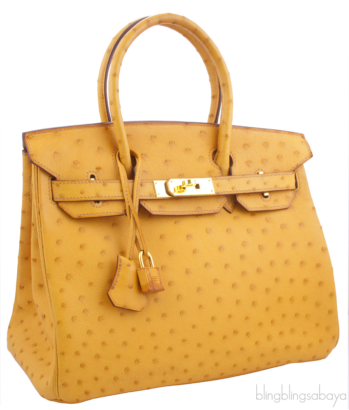 Birkin 30 Camel Ostrich GHW