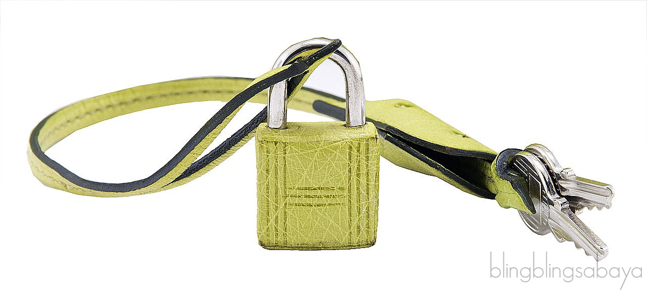 Birkin 30 Ostrich Vert Anis