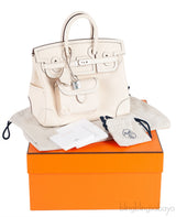 Birkin 25 Cargo Nata Toile Goeland Bag Swift PHW