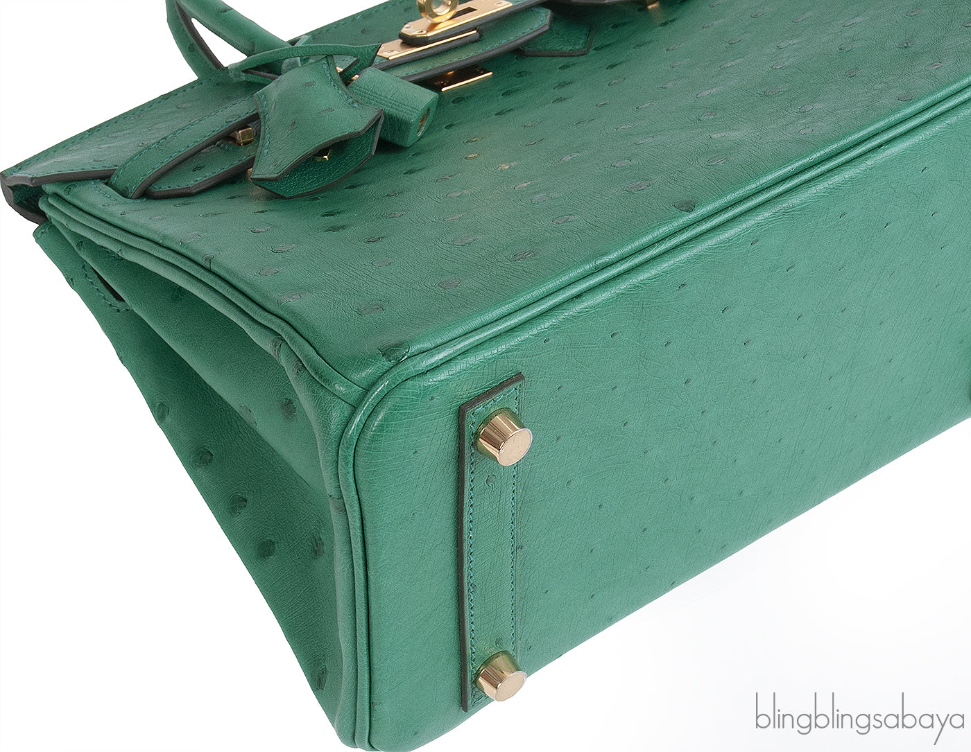 Hermes Birkin 25 Ostrich Vert Vertigo GHW