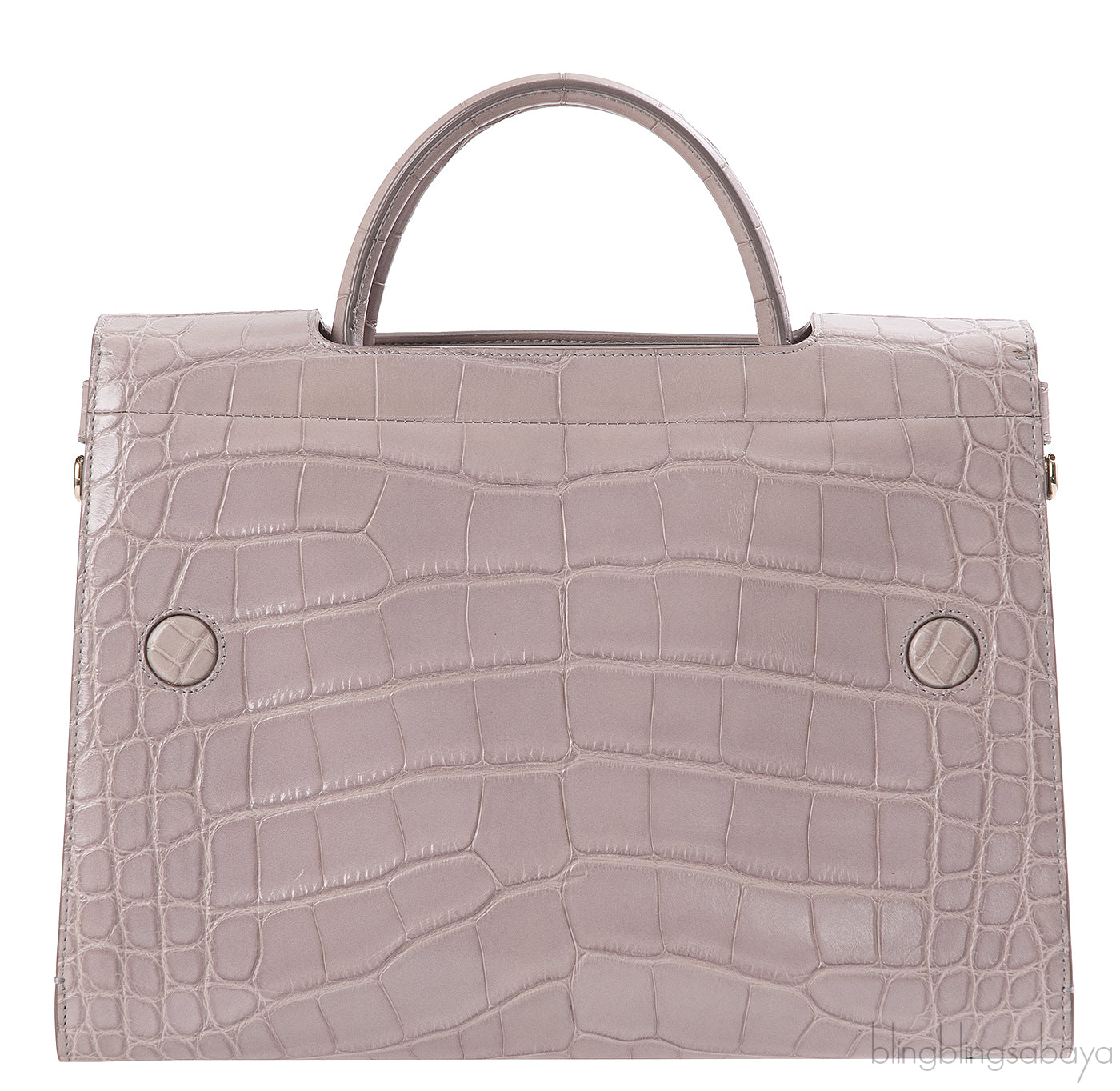 Christian Dior Diorever Crocodile Medium Bag