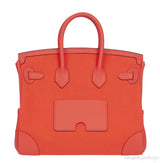 Birkin 25 Cargo Orange Field Toile Goeland Swift PHW