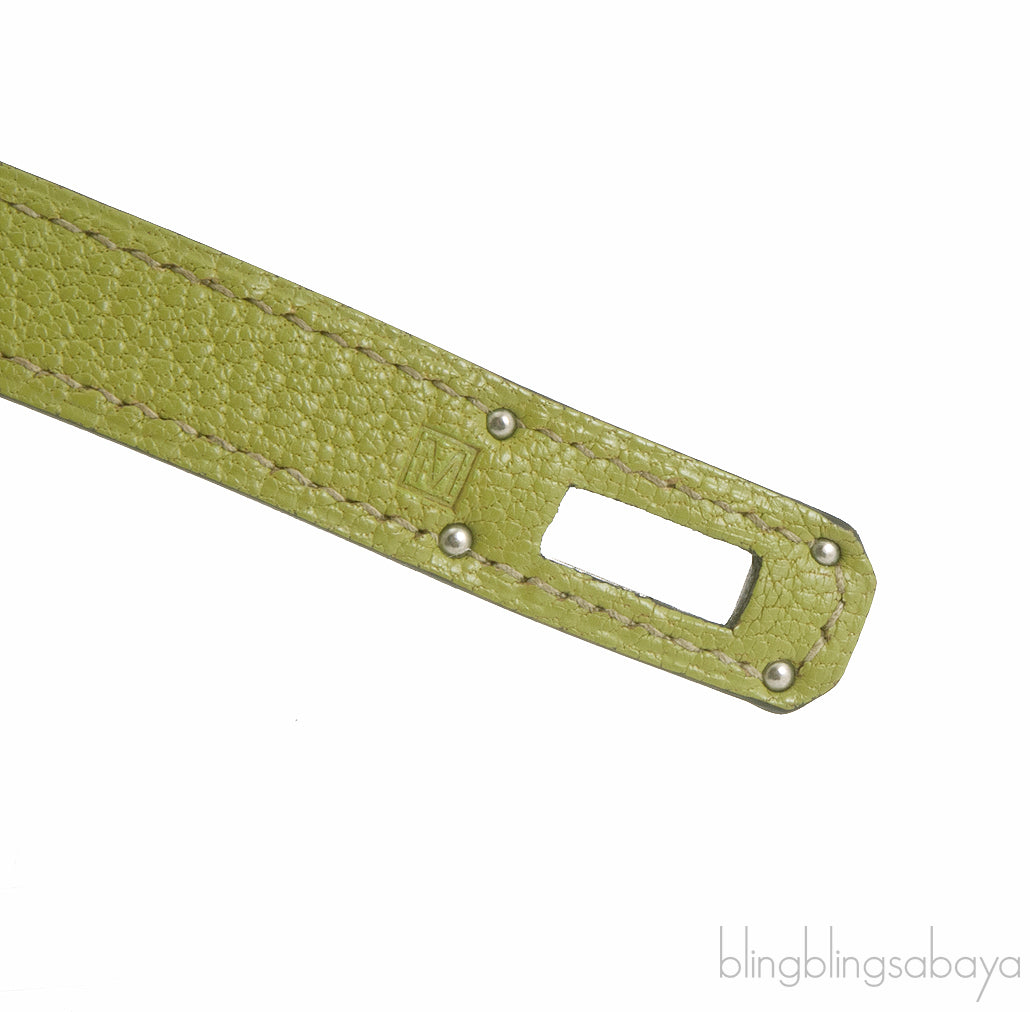 Kelly Long Wallet Chevre Vert Anis