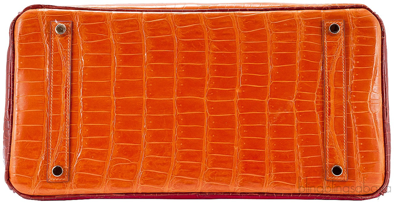 Birkin 35 Tricolor Crocodile Ltd. Ed.