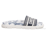 Blue Dway Slide