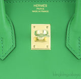 Birkin 25 Bambou Swift GHW