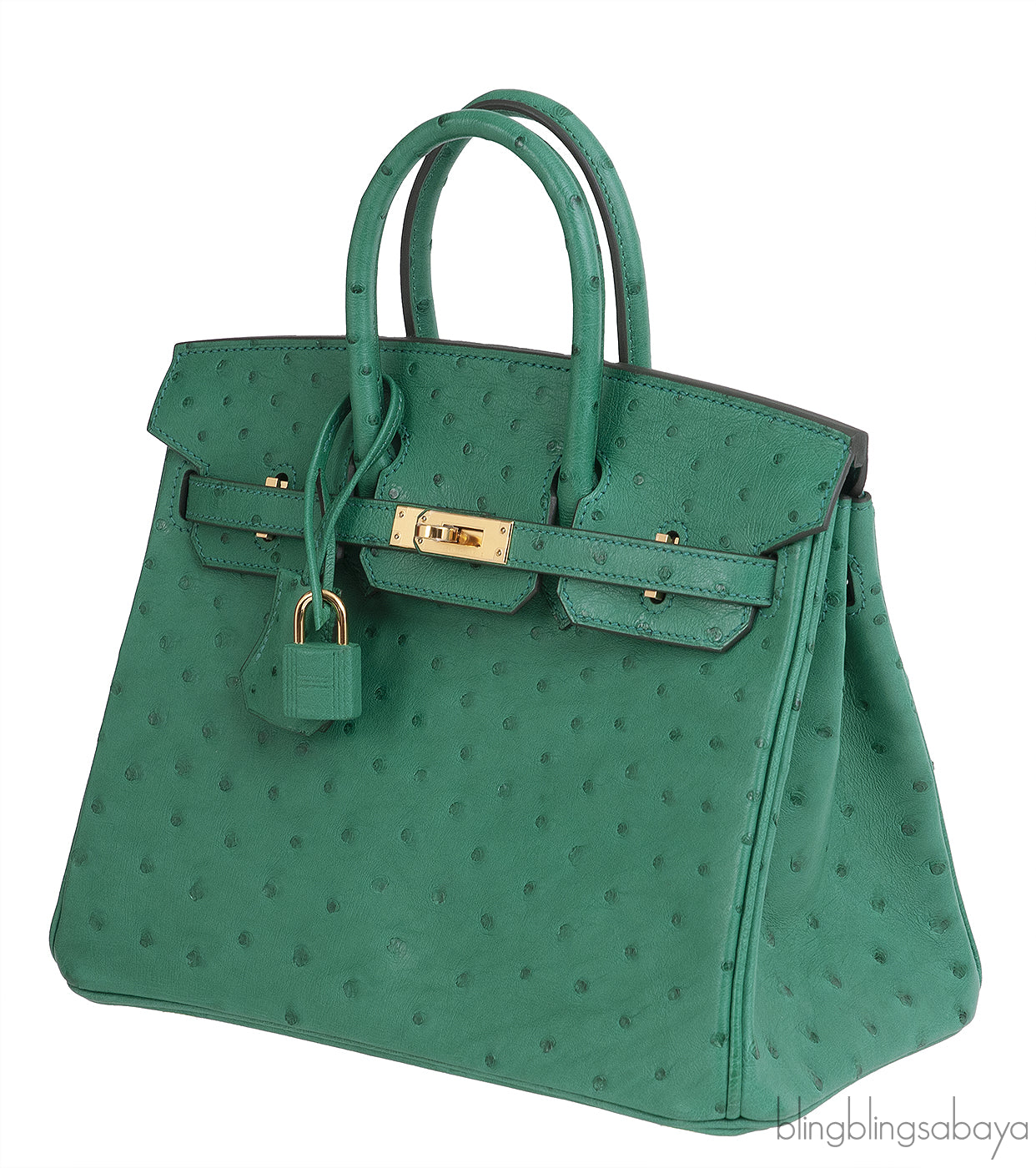 Hermes Birkin 25 Ostrich Vert Vertigo GHW