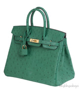 Hermes Birkin 25 Ostrich Vert Vertigo GHW