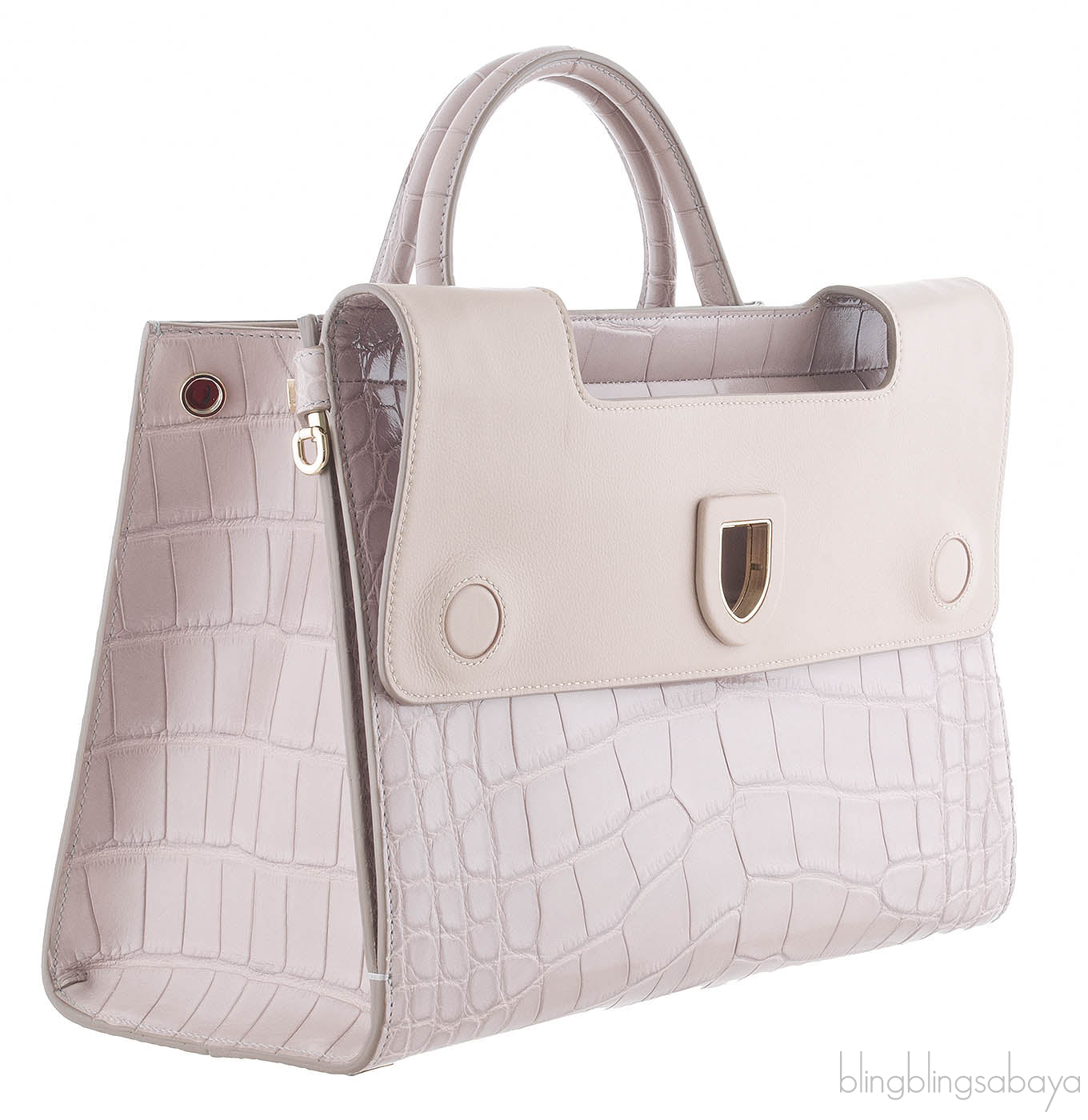 Christian Dior Diorever Crocodile Medium Bag