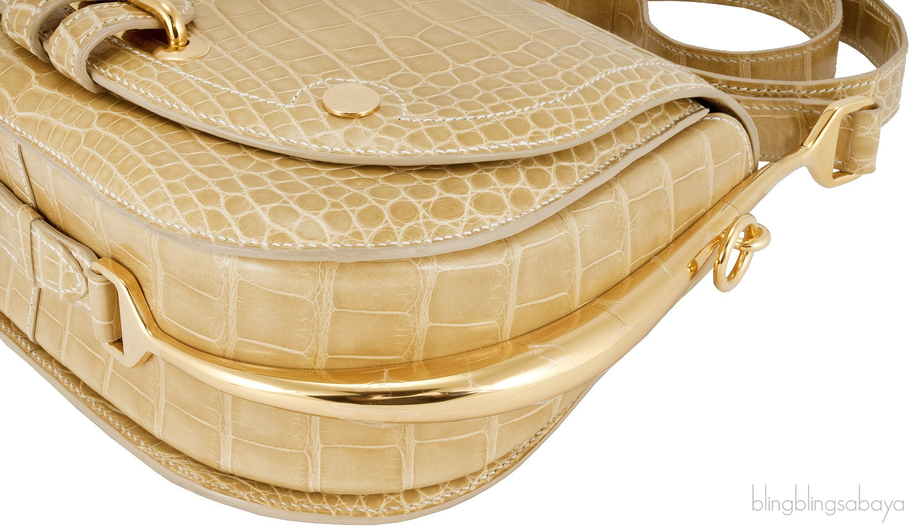 Pass Guide Crocodile Poussiere GHW
