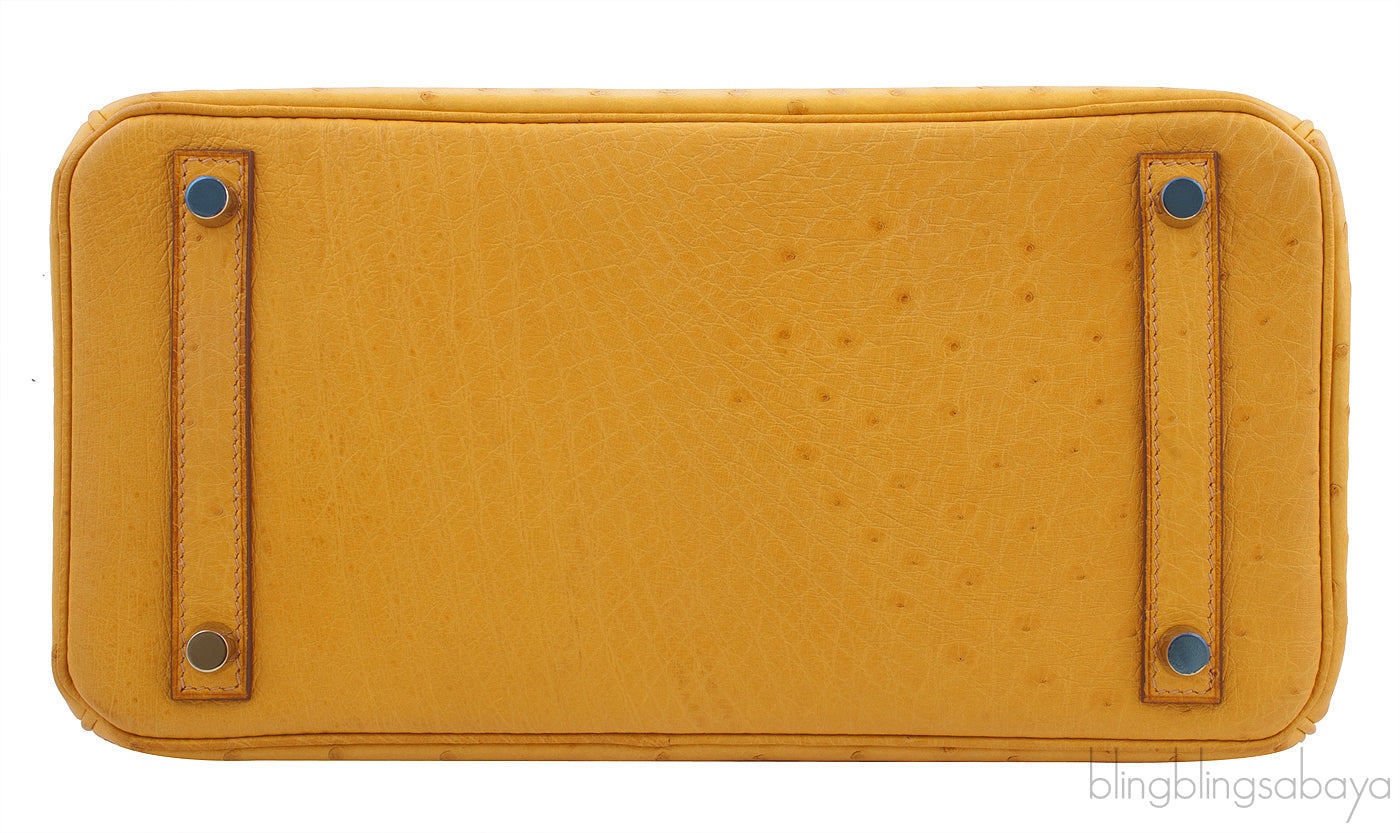 Birkin 30 Camel Ostrich GHW