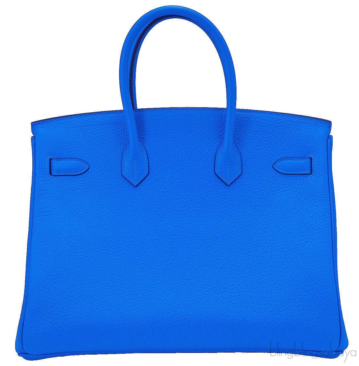 Birkin 35 Blue Hydra Clem