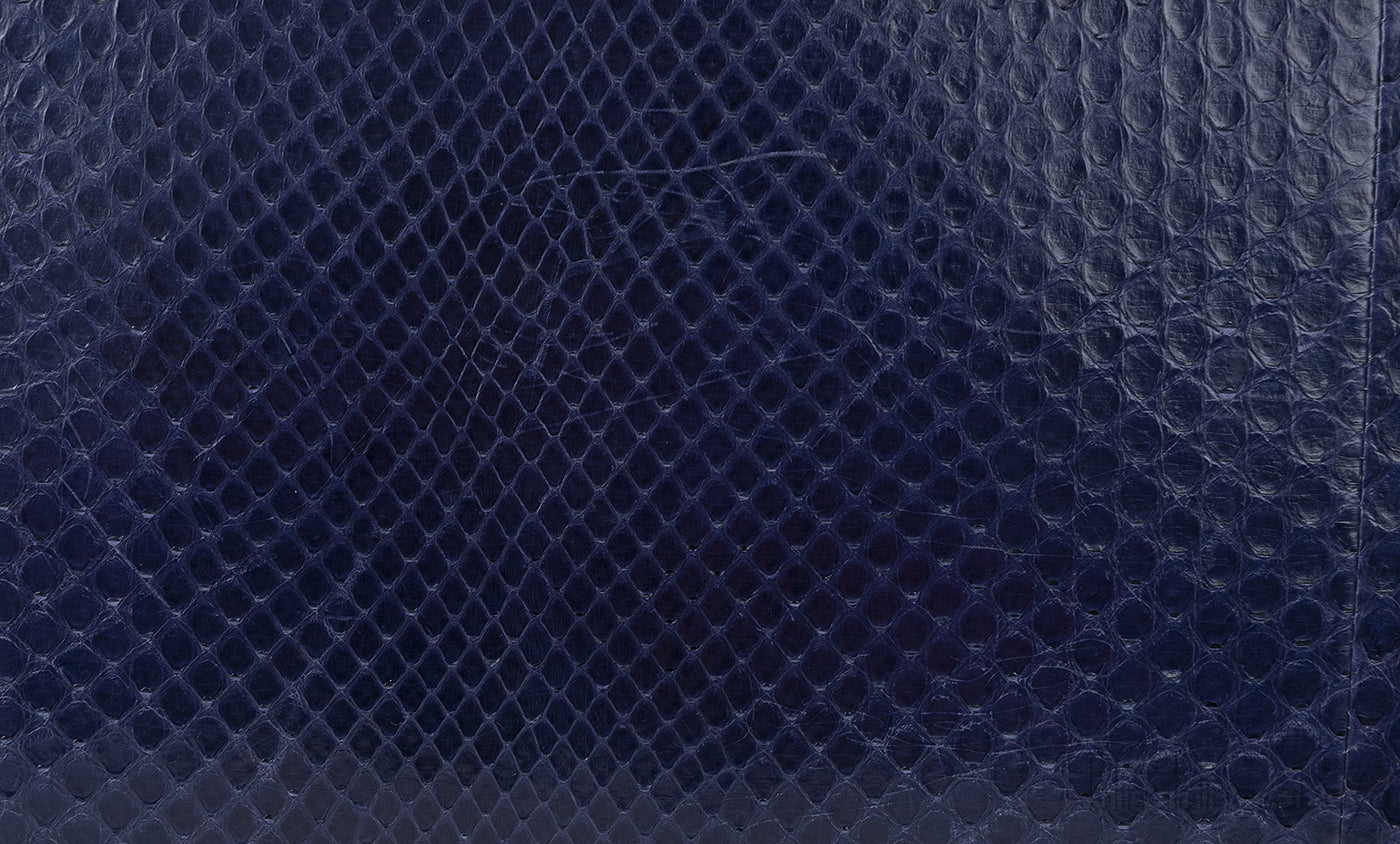 Lady Dior Large Blue Python Bag