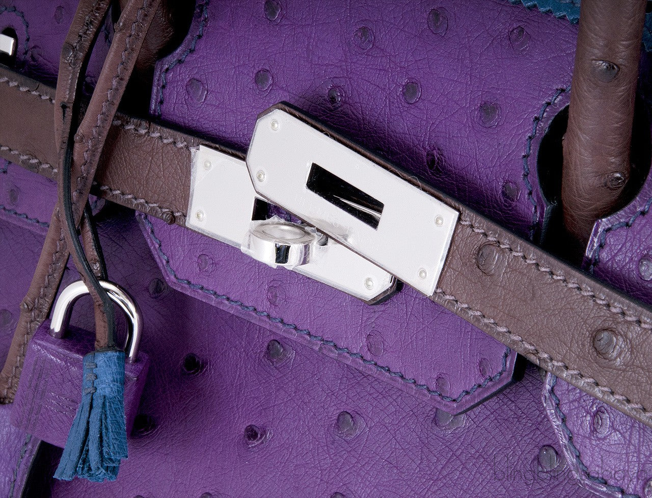 Birkin 30 Tri-color Ghillies Ostrich