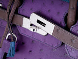Birkin 30 Tri-color Ghillies Ostrich