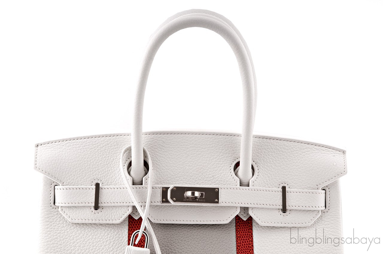 Birkin 30 Club Tri-color
