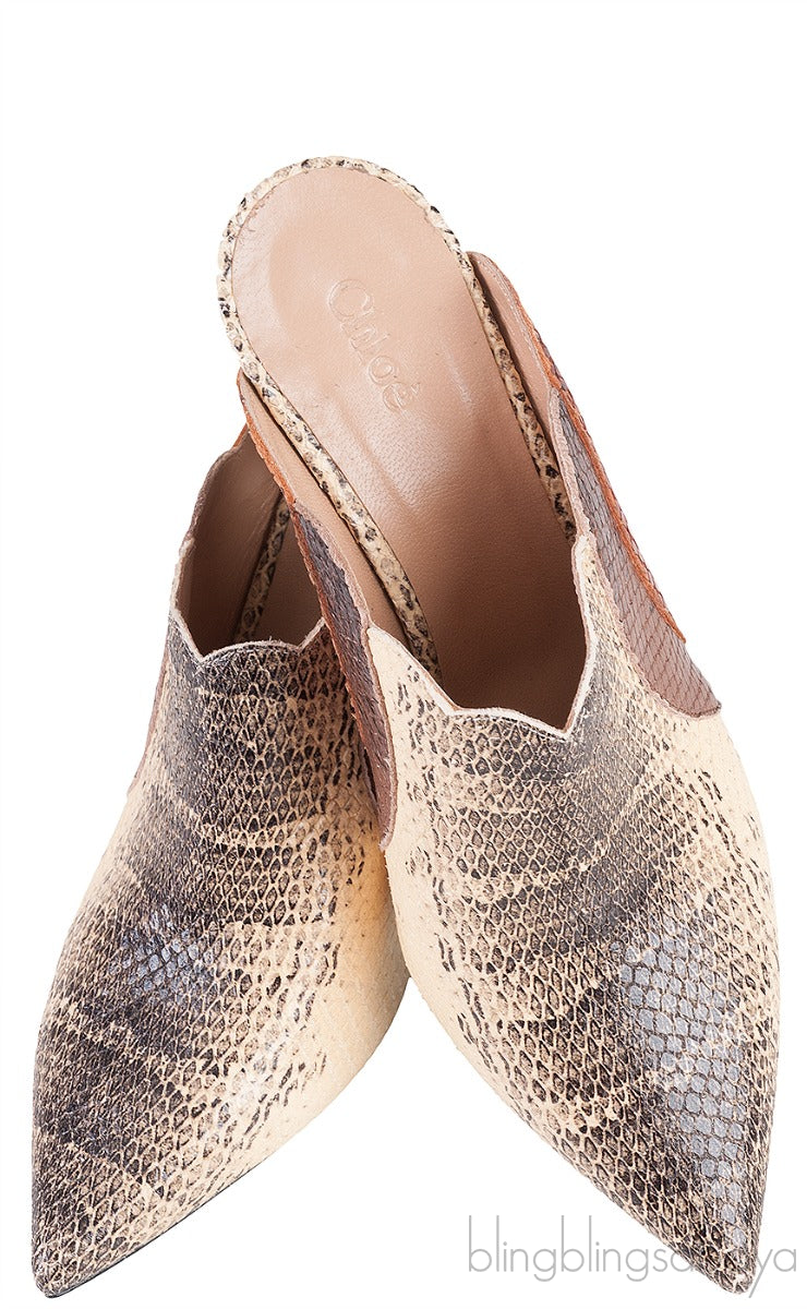 Pointed Multicolor Lauren Mules