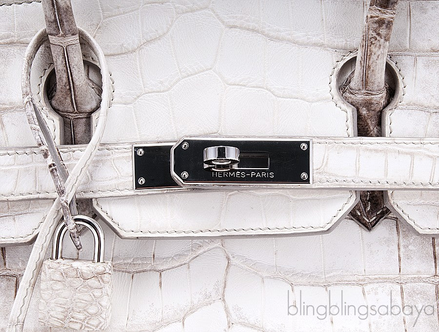 Birkin 30 Himalaya Matte Niloticus
