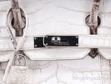 Birkin 30 Himalaya Matte Niloticus