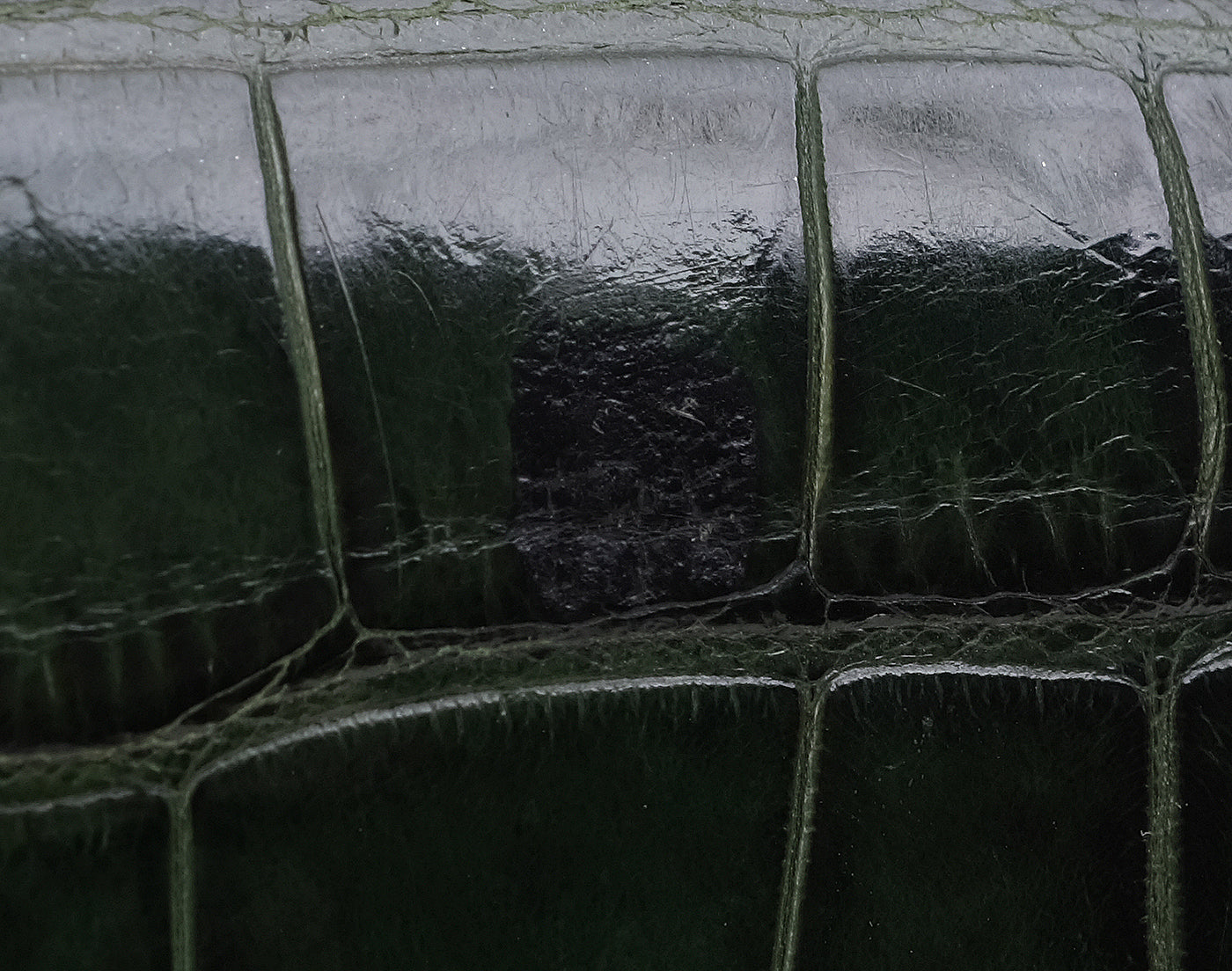 Gucci Crystal Embellished Horsebit Green Crocodile Mini Clutch