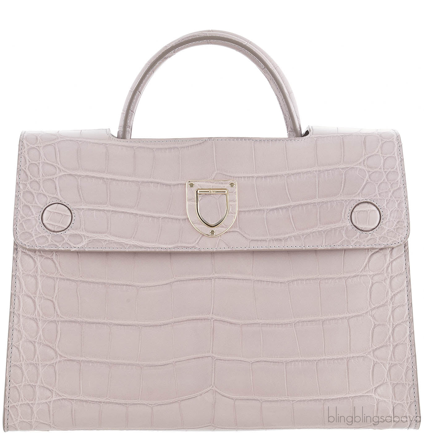 Christian Dior Diorever Crocodile Medium Bag