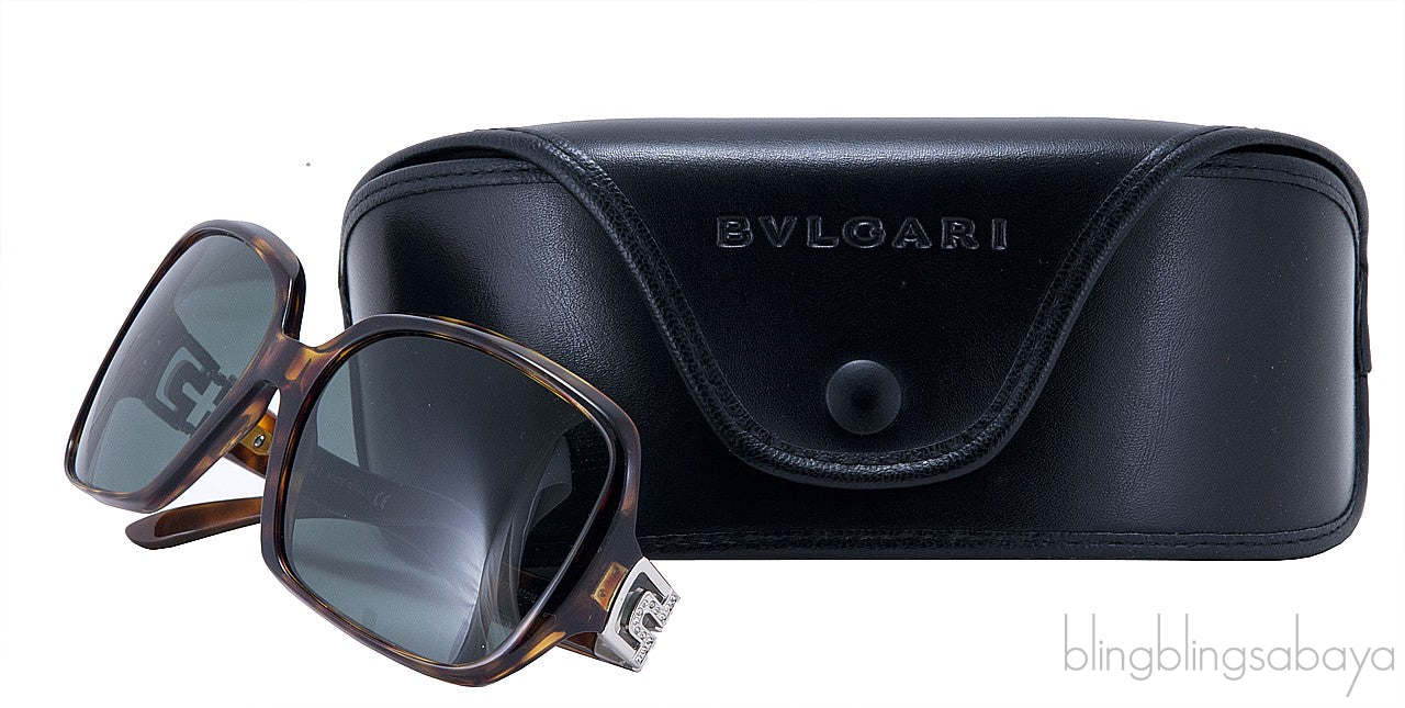 Brown Sunglasses