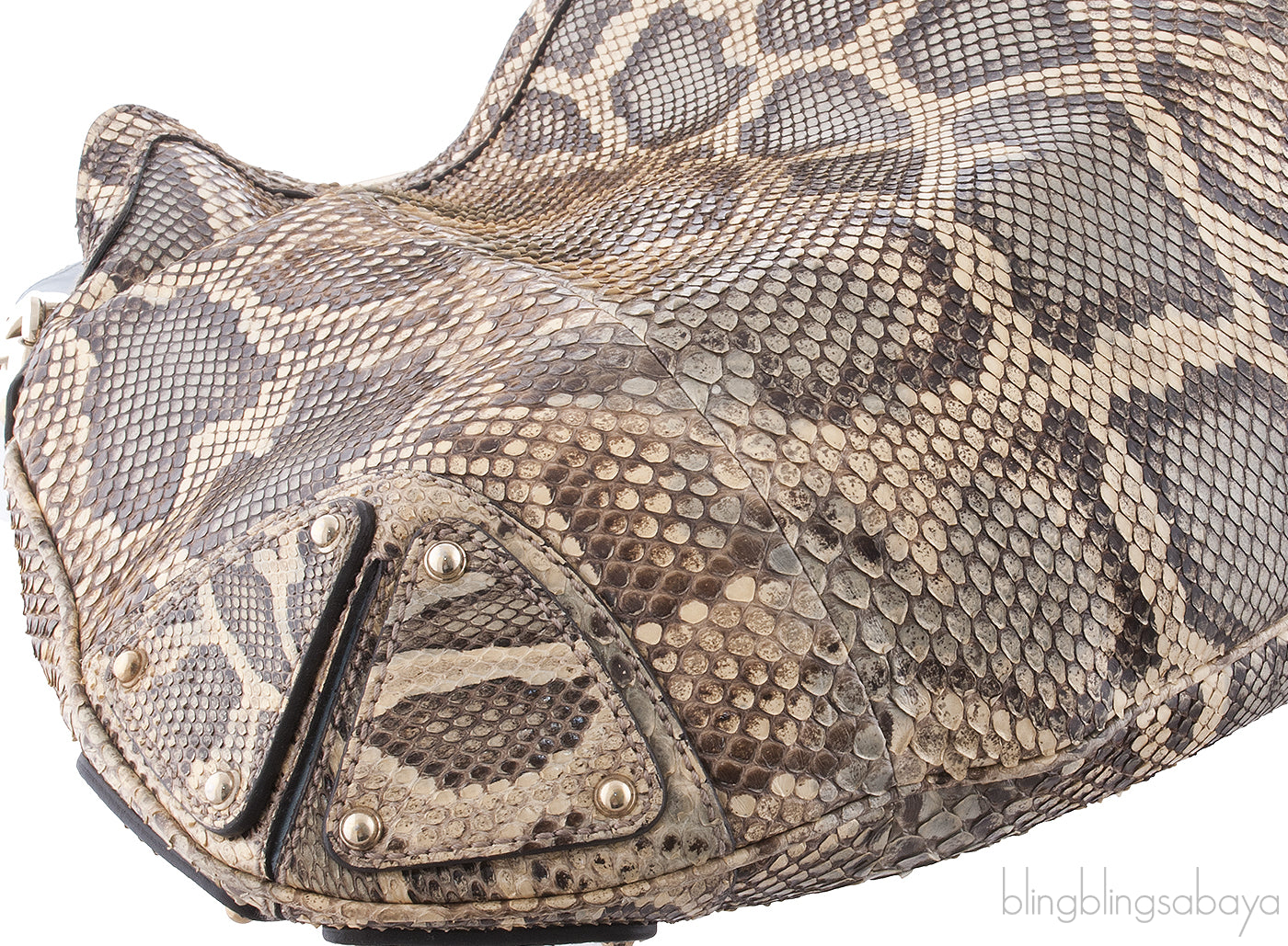 Indy Yellow Light Blue Python