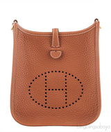 Mini Evelyne Gold Crossbody Bag