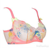 Zuri Bra Multicolor